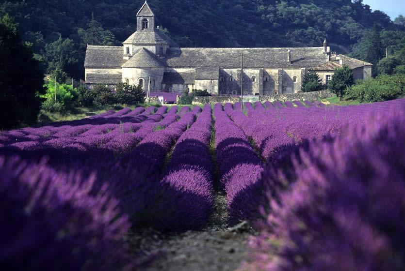 Gite Hanna En Luberon - Le Boisset De St Martin De Castillon Saint-Martin-de-Castillon Exterior foto